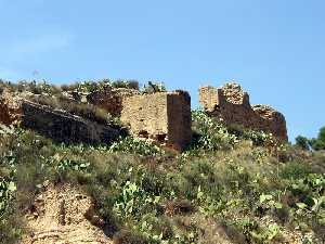 Restos del Castillo de las Paleras en Pliego [Castillo de las Paleras de Pliego]