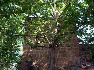 Lateral [Torre de los Templarios de Caravaca]