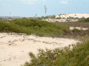 Parque Regional de las Salinas y Arenales de San Pedro del Pinatar