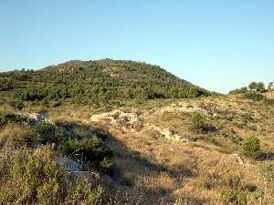 Ruinas del Castillo de El Castellar en Bullas [Castellar de Bullas]