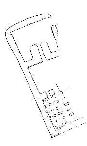 Plantas de las termas de La Loma en Las Torres [Torres de Cotillas_Historia]