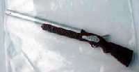 rifle1 (Al pulsar se abrir la foto en una nueva ventana.)