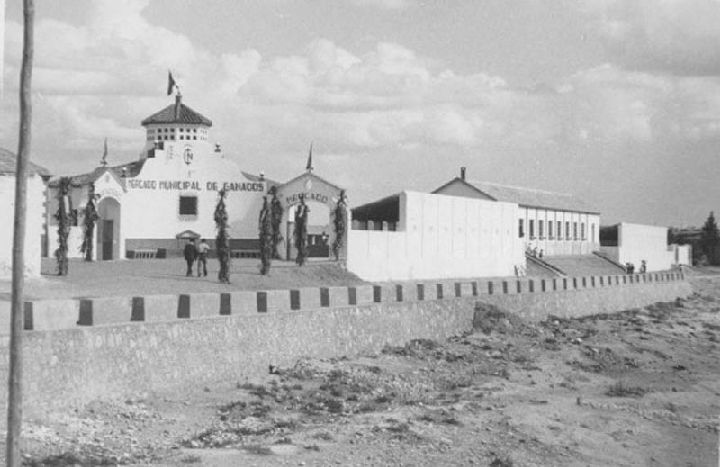 Feria de Ganado de Fuente Álamo Región de Murcia Digital