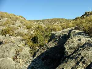 Barranco de los Grajos[Cieza]