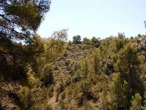 La Cueva del Arco[Cieza]