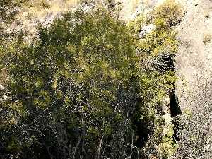 La Cueva del Arco