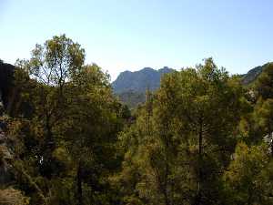 Exterior de la cueva [Cieza]