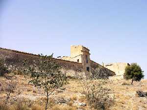 Almazara de Santa Ins