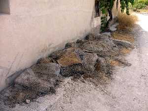 Almazara de Santa Ins