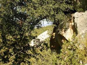 Vista General de la Cavidad Rocosa [Abrigo de la Ventana]