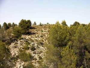 Los Villares[Caravaca de la Cruz]