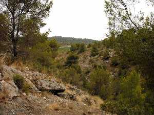 Alrededores de la Cueva [Abrigo del Milano]