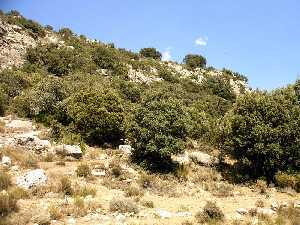 Cueva del Esquilo