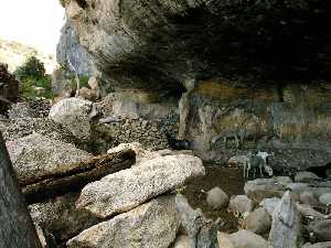 Cueva del Esquilo[Moratalla]