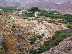 Nuevas Construcciones al Lado de la Calzada 