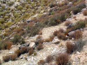 Piedras de la calzada romana en Ychar (Mula) 