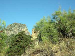 Arista de una Torre [Castillo de Priego de Moratalla]