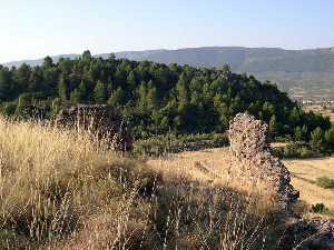 Ruinas del Castillo 