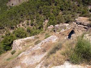 Restos de Muros [Castillo de Pliego]