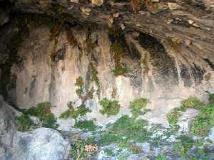 Detalles de las Rocas 