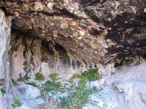 Vista de Rocas desde Cerca 