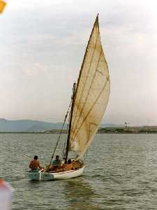  Vela latina en la romera martima 