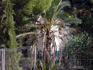 Ermita de San Antonio el Pobre