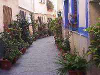 calle de Ojs