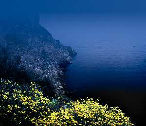 Cartagena3