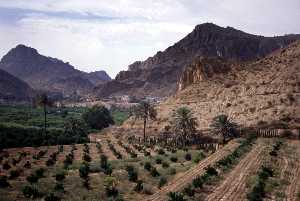 Paisaje de Villanueva del Ro Segura