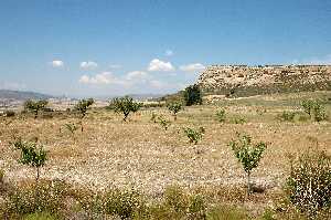 Paisaje cerca de Zaen de arriba 3.