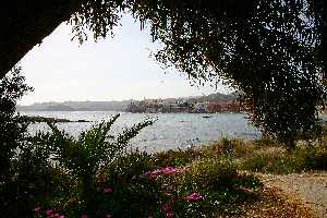 Vista de Calabardina [Reportaje guilas]