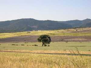 campo2