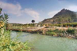 Puente de Alambre.