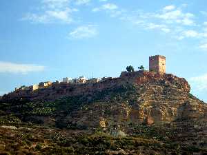 Vista del Castillo desde los huertos de Aledo