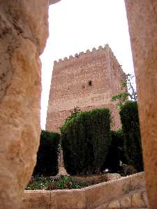 TORRE DEL HOMENAJE