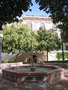 jardn de las ranas