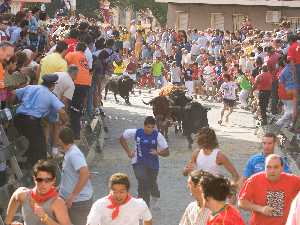 Encierros de Calasparra