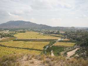 Vista del ro y arrozales