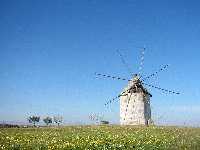 Campo de Cartagena-Molino.