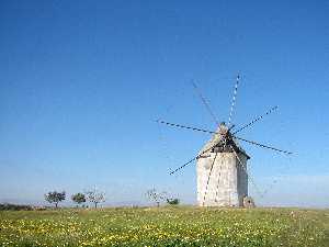 Campo de Cartagena-Molino.