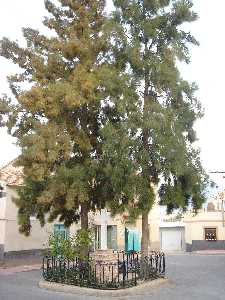 Plaza de la cruz