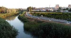 Paseo del Rio Segura