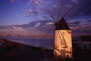 Primer molino de Lo Pagn (San Pedro)