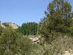 Barranco de Hondares