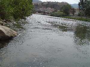 6.El Rio Segura