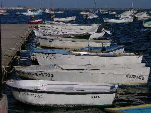 las barcas