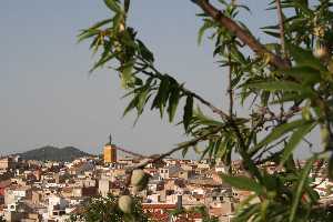 Casco Antiguo,al fondo Torre del Reloj