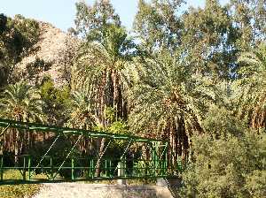 Complejo del Balneario,sus jardines