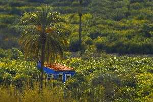 Casa en la huerta de Ulea